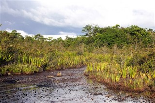 Guyana hava tahmini