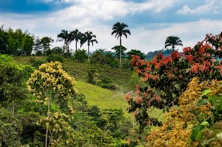 Guyana hava tahmini