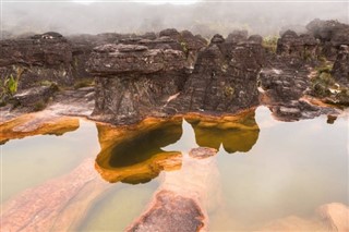 Guyana hava tahmini