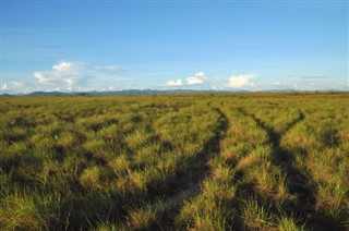 Guyana vejrudsigt