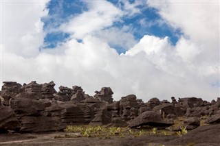 Guyana vejrudsigt