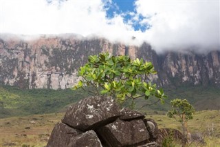 Guyana hava tahmini