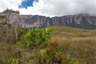 Guyana vejrudsigt