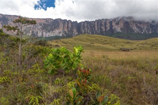 Guyana vejrudsigt