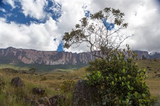 Guyana vejrudsigt
