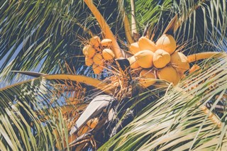 Haiti hava tahmini