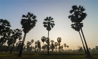 Haiti hava tahmini