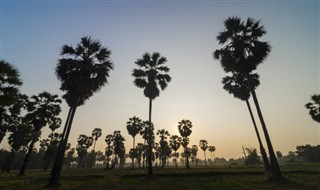 Haiti hava tahmini