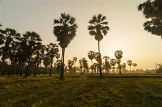 Haiti hava tahmini