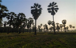 Haiti vejrudsigt