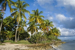Haiti vejrudsigt