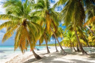Haiti hava tahmini