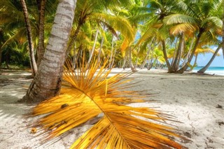Haiti hava tahmini