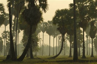 Haiti vejrudsigt