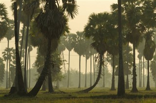 Haiti hava tahmini