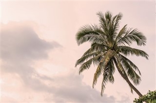 Haiti hava tahmini