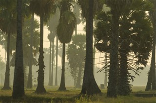 Haiti hava tahmini