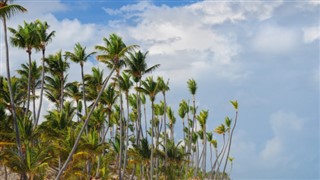 Haiti hava tahmini