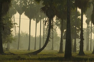 Haïti prévisions météorologiques