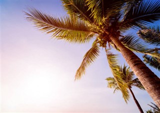 Haiti vejrudsigt