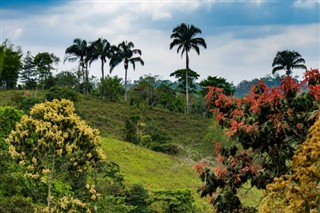 Honduras hava tahmini