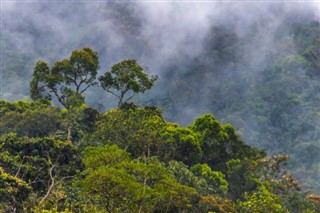 Honduras hava tahmini
