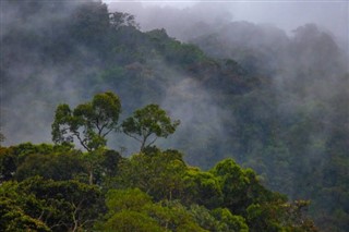 Honduras hava tahmini
