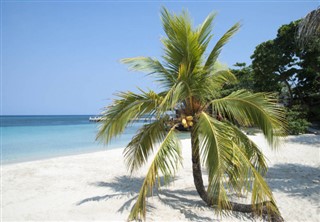 Honduras Hava tahmini