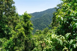 Honduras hava tahmini