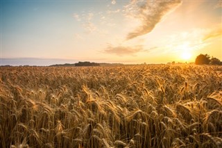Macaristan hava tahmini