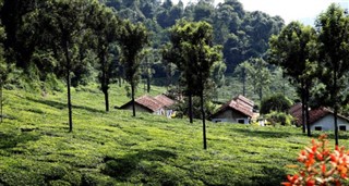 Hindistan hava tahmini