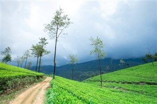 Hindistan hava tahmini