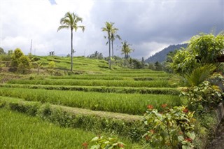 Indonesien vejrudsigt
