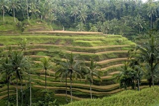 Indonesien vejrudsigt