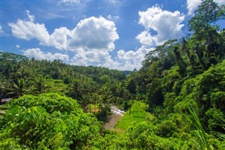 Indonesien vejrudsigt