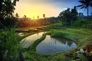 Indonesien vejrudsigt