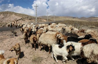 Iran vremenska prognoza