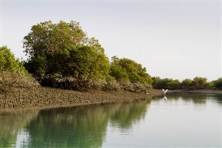Irán Időjárás-jelentés