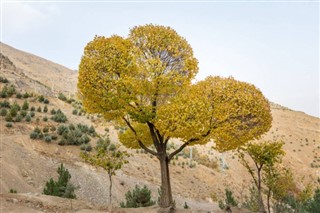 İran hava tahmini