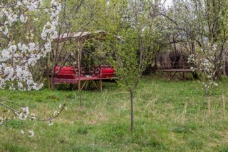 İran hava tahmini