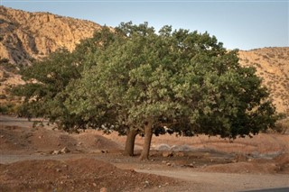 Iran vejrudsigt