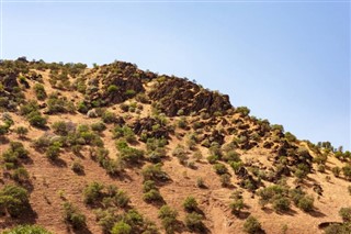 Iran vejrudsigt
