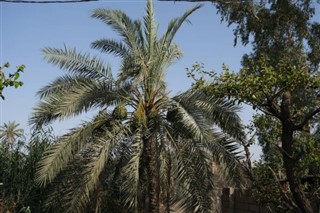 Irak Hava tahmini