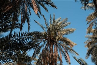 Irak hava tahmini
