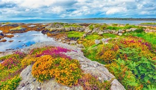 İrlanda hava tahmini