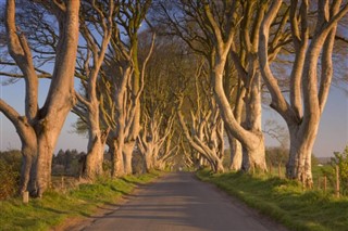 Ireland weather forecast