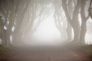 Irland vejrudsigt