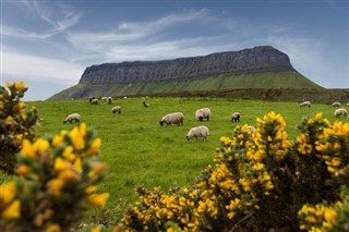 Irland vejrudsigt