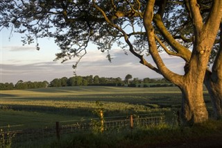Irland vejrudsigt