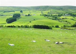 İrlanda hava tahmini
